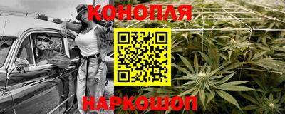 шишки Аргун
