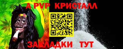 шишки Аргун