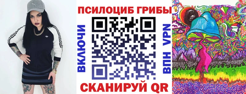 Псилоцибиновые грибы Psilocybe  Ахтубинск 