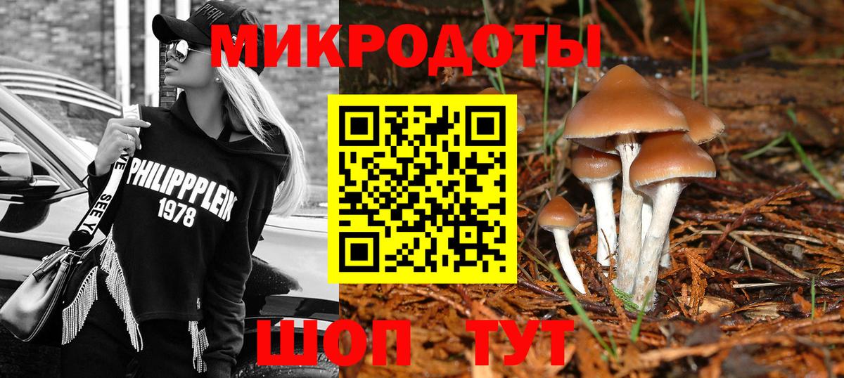 Галлюциногенные грибы прущие грибы  Вход с VPN  Галлюциногенные грибы мицелий  Ахтубинск 